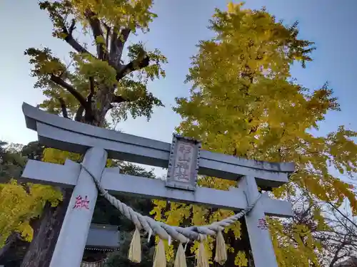 杉山神社の鳥居