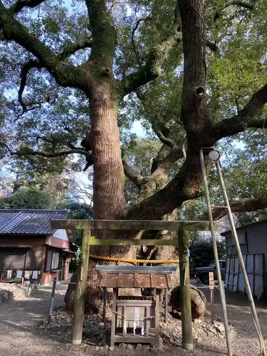箕曲中松原神社の自然