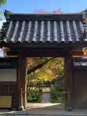 龍安寺(京都府)