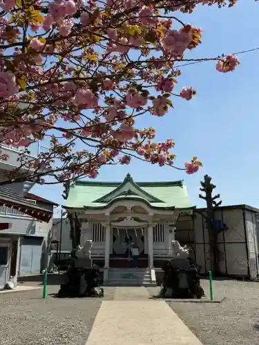 亀高神社の{uncategorized: "未分類", other: "その他", undefined: "問題あり", building: "その他建物", grave: "お墓", sacred_gate: "鳥居", guardian: "狛犬", statue: "像", buddha: "仏像", history: "歴史", nature: "自然", garden: "庭園", animal: "動物", pagoda: "塔", temizu: "手水舎", mountain_gate: "山門・神門", sanctuary: "本殿・本堂", subordinate: "末社・摂社", art: "芸術", scenery: "景色", jizo: "地蔵", ema: "絵馬", goshuin: "御朱印", omikuji: "おみくじ", items: "授与品その他", amulet: "お守り", goshuincho: "御朱印帳", eats: "食事", festival: "お祭り", votive_dance: "神楽", shichigosan: "七五三参", wedding: "結婚式", experience: "体験その他", initially: "初詣", around: "周辺", anti_infection: "感染症対策"}