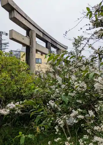 住吉大社(大阪府)