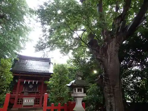 由比若宮（元鶴岡八幡宮）の本殿・本堂