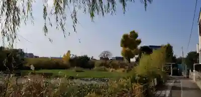 青龍神社の周辺