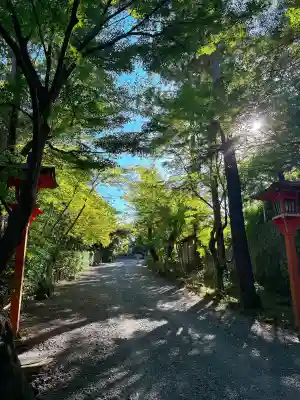 正法寺(京都府)