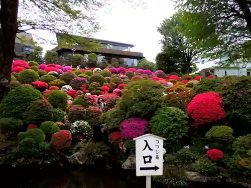 根津神社の庭園