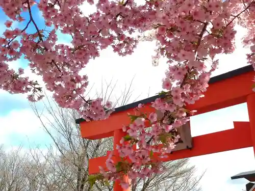 車折神社の{uncategorized: "未分類", other: "その他", undefined: "問題あり", building: "その他建物", grave: "お墓", sacred_gate: "鳥居", guardian: "狛犬", statue: "像", buddha: "仏像", history: "歴史", nature: "自然", garden: "庭園", animal: "動物", pagoda: "塔", temizu: "手水舎", mountain_gate: "山門・神門", sanctuary: "本殿・本堂", subordinate: "末社・摂社", art: "芸術", scenery: "景色", jizo: "地蔵", ema: "絵馬", goshuin: "御朱印", omikuji: "おみくじ", items: "授与品その他", amulet: "お守り", goshuincho: "御朱印帳", eats: "食事", festival: "お祭り", votive_dance: "神楽", shichigosan: "七五三参", wedding: "結婚式", experience: "体験その他", initially: "初詣", around: "周辺", anti_infection: "感染症対策"}