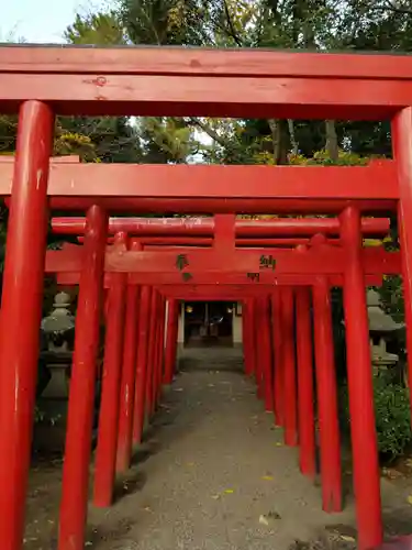 高山神社の鳥居