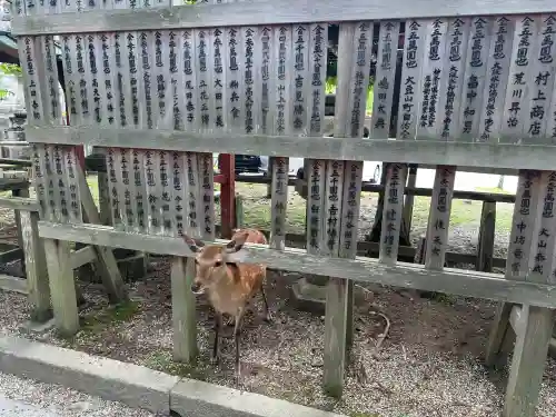 氷室神社(奈良県)