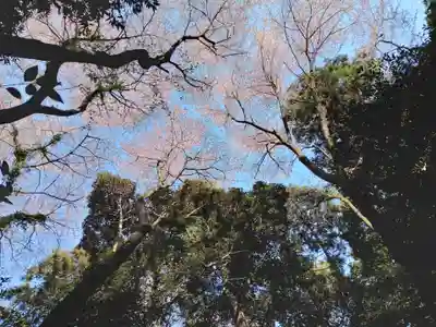 鷲宮神社のその他建物