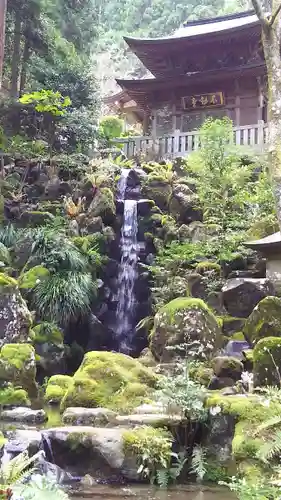 最乗寺（道了尊）の庭園