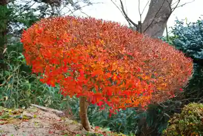 長屋神社の庭園