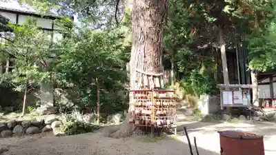 御袖天満宮(広島県)