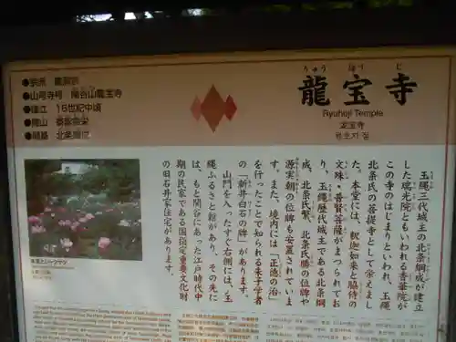 龍寳寺（龍宝寺）の歴史