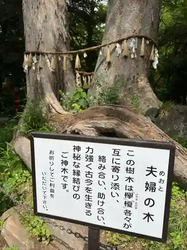 妻沼聖天山歓喜院の自然