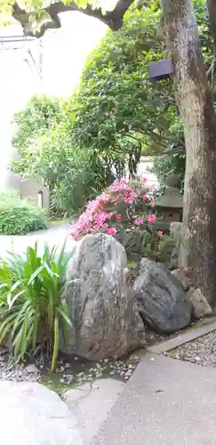 秋葉神社の庭園