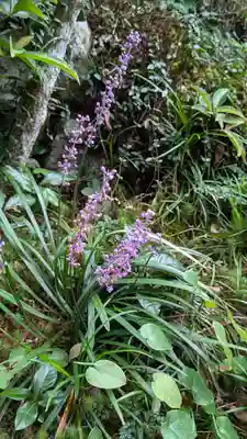 実光院(京都府)