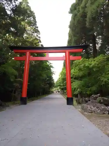 霧島神宮(鹿児島県)