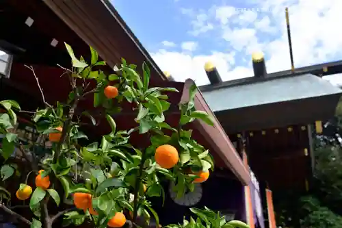 東京大神宮(東京都)