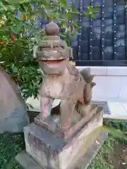 穴八幡宮の狛犬