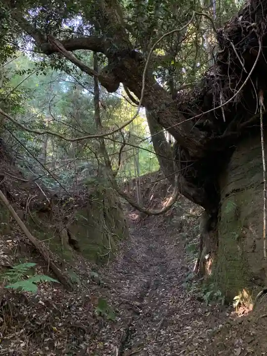 大杉神社の周辺