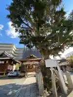 金札宮のその他建物