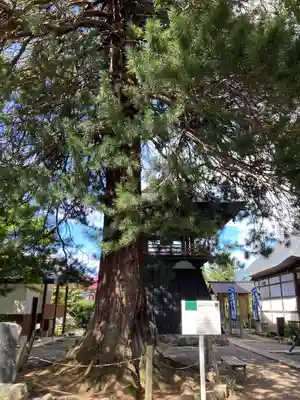 常楽寺(長野県)