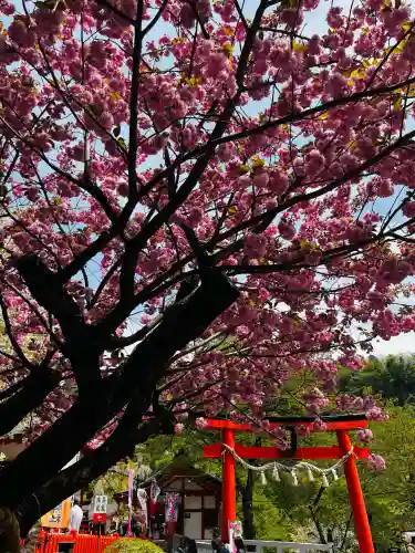 金櫻神社の{uncategorized: "未分類", other: "その他", undefined: "問題あり", building: "その他建物", grave: "お墓", sacred_gate: "鳥居", guardian: "狛犬", statue: "像", buddha: "仏像", history: "歴史", nature: "自然", garden: "庭園", animal: "動物", pagoda: "塔", temizu: "手水舎", mountain_gate: "山門・神門", sanctuary: "本殿・本堂", subordinate: "末社・摂社", art: "芸術", scenery: "景色", jizo: "地蔵", ema: "絵馬", goshuin: "御朱印", omikuji: "おみくじ", items: "授与品その他", amulet: "お守り", goshuincho: "御朱印帳", eats: "食事", festival: "お祭り", votive_dance: "神楽", shichigosan: "七五三参", wedding: "結婚式", experience: "体験その他", initially: "初詣", around: "周辺", anti_infection: "感染症対策"}
