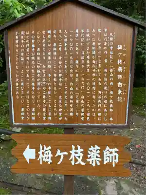 洞泉寺(山口県)