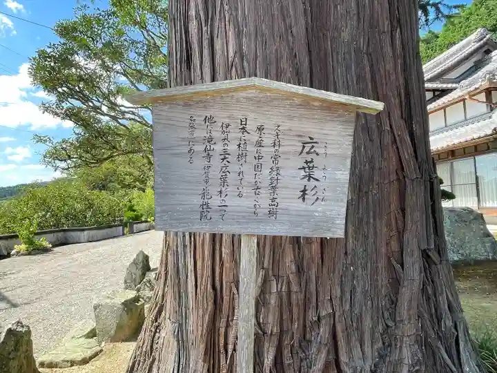 常福寺(三重県)