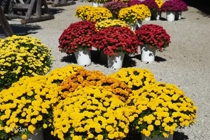 笠間稲荷神社(茨城県)