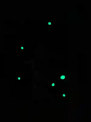 曽根神社の御朱印