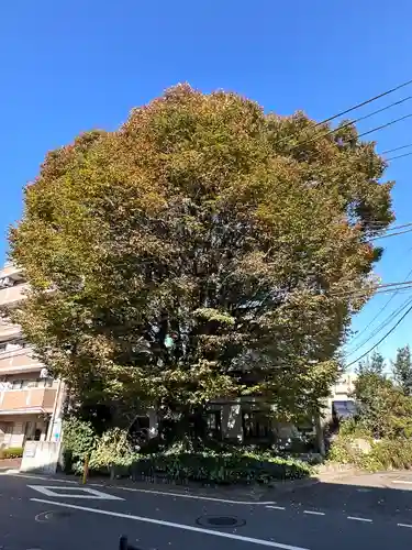 小野神社の自然