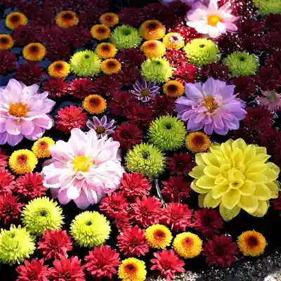 大鏑神社の手水舎
