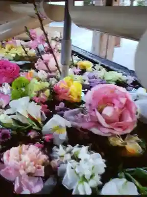 鳩森八幡神社(東京都)