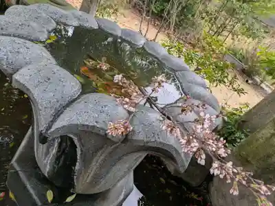 中津瀬神社の手水舎