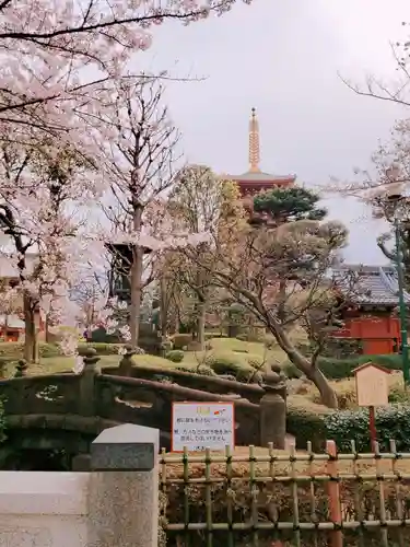 浅草寺のその他建物