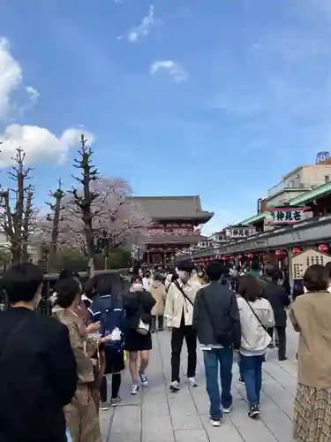 浅草寺(東京都)
