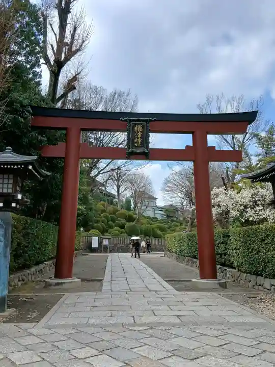 根津神社の{uncategorized: "未分類", other: "その他", undefined: "問題あり", building: "その他建物", grave: "お墓", sacred_gate: "鳥居", guardian: "狛犬", statue: "像", buddha: "仏像", history: "歴史", nature: "自然", garden: "庭園", animal: "動物", pagoda: "塔", temizu: "手水舎", mountain_gate: "山門・神門", sanctuary: "本殿・本堂", subordinate: "末社・摂社", art: "芸術", scenery: "景色", jizo: "地蔵", ema: "絵馬", goshuin: "御朱印", omikuji: "おみくじ", items: "授与品その他", amulet: "お守り", goshuincho: "御朱印帳", eats: "食事", festival: "お祭り", votive_dance: "神楽", shichigosan: "七五三参", wedding: "結婚式", experience: "体験その他", initially: "初詣", around: "周辺", anti_infection: "感染症対策"}