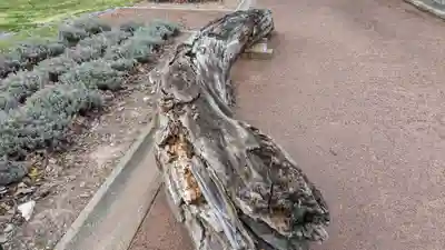 草分神社の歴史