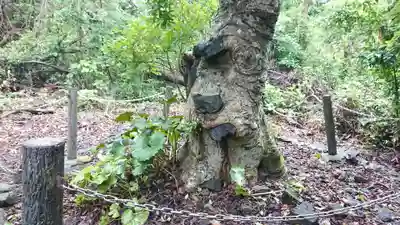 蓮着寺(静岡県)