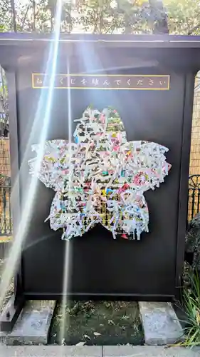 桜神宮のおみくじ