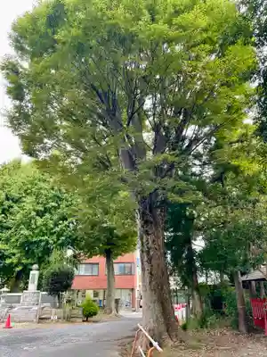 幸宮神社(埼玉県)