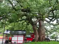 春日神社(大分県)