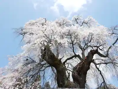 福王寺のその他建物