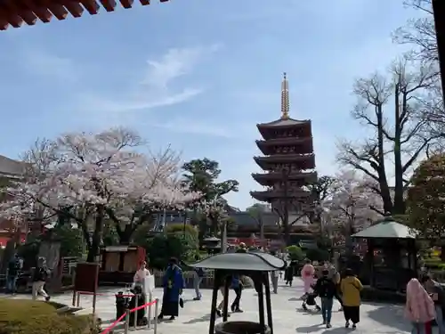 浅草寺の塔