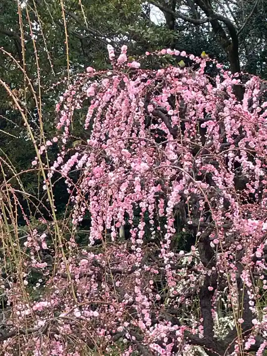 結城神社(三重県)