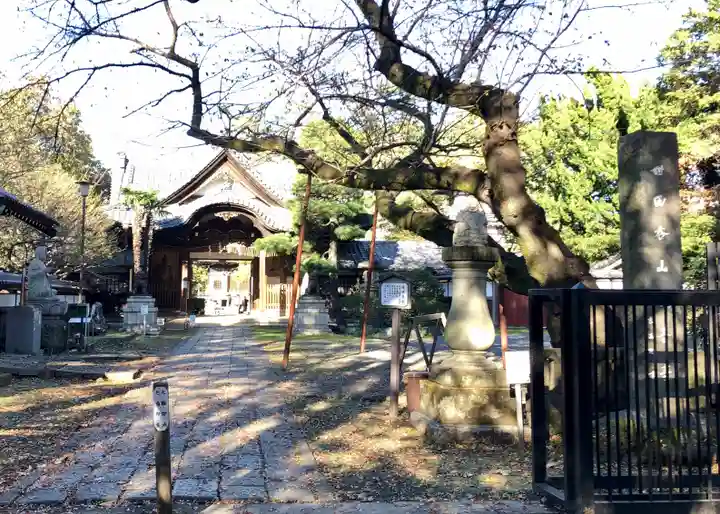 観音寺(世田谷山観音寺)(東京都)