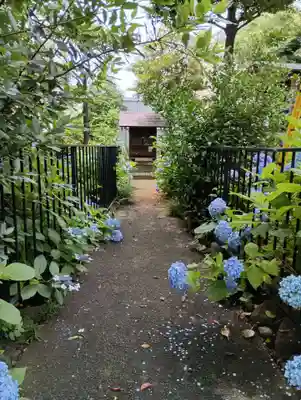 白山神社(東京都)