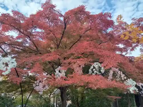 月蔵寺(大阪府)