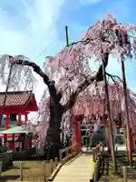 妙関寺(福島県)